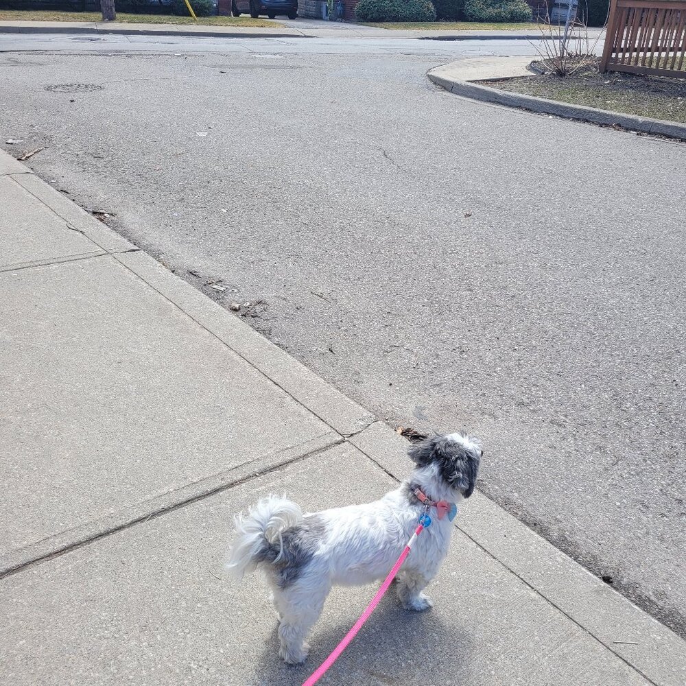 Meet your Posher, Barbara